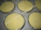 Vanillepudding mit Himbeeren